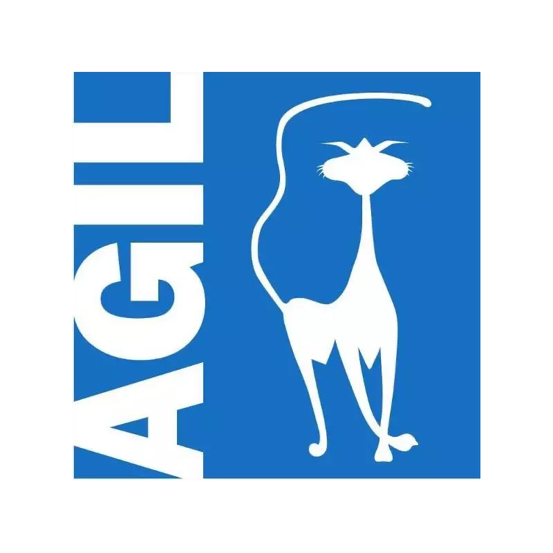 Logo AGIL - Ludotines Fabularea, ludothèque, France