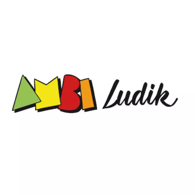 Photo organisation Ambiludik, ludothèque, France