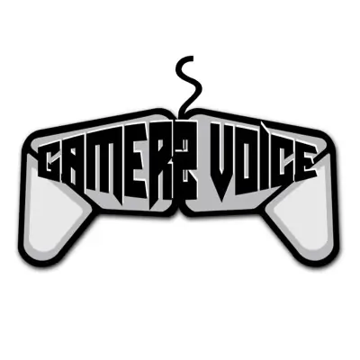 Photo organisation GamerZ Voice, club de jeux, France