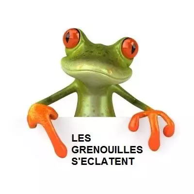 Logo Les Grenouilles S'éclatent, club de jeux, France