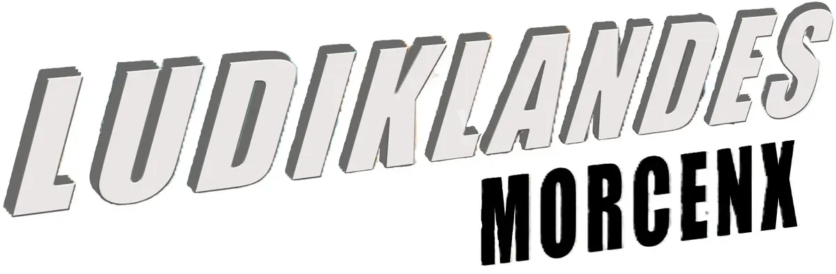 Photo organisation Ludiklandes, club de jeux, France