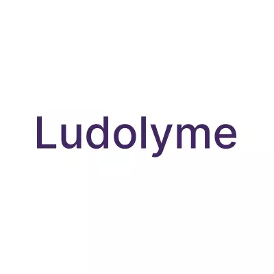 Logo Ludo Lyme, ludothèque, France