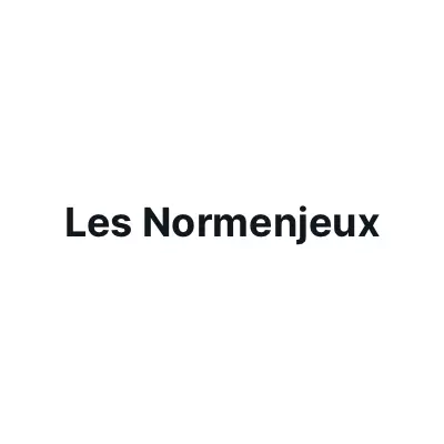 Photo organisation Les Normenjeux, club de jeux, France