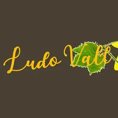 Logo Ludo'Vall 2019