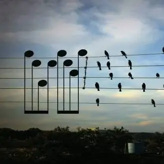 Affiche officielle Sacatz Vos 2023