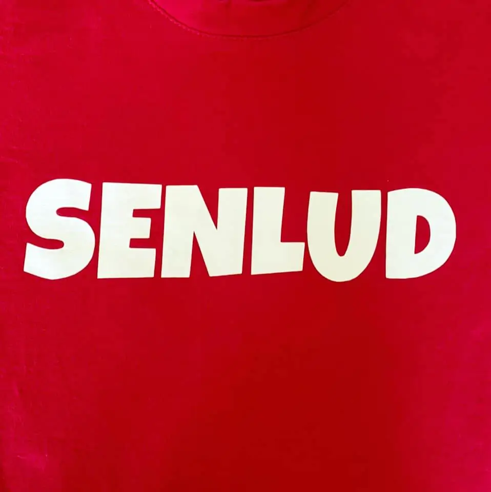Logo Senlud 2022