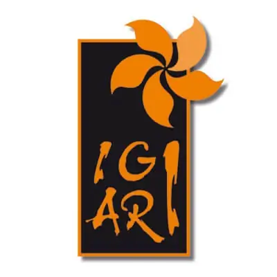 Logo Igiari, board game publisher - Subverti maps