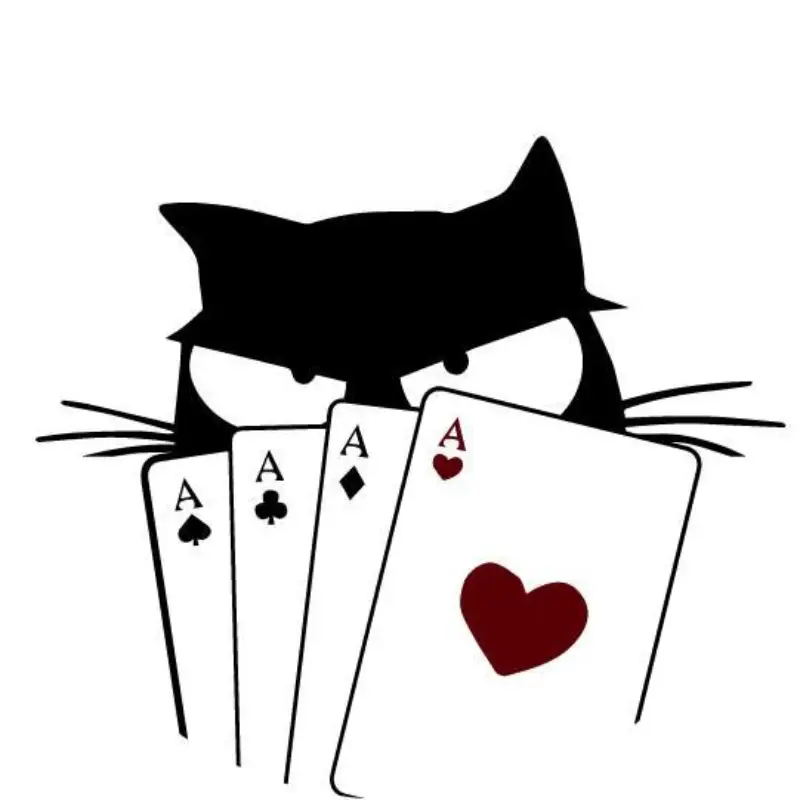 Logo Chat Perché, boutique ludique + bar à jeux, France