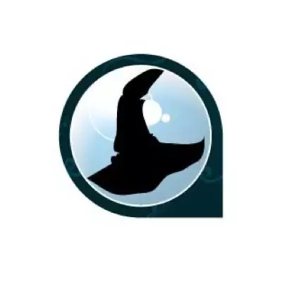 Logo Le labo de Merlin, boutique ludique, France