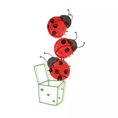 Photo devanture commerce L'Odyssée des Coccinelles, boutique ludique, France